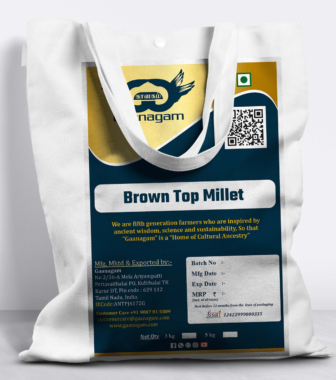 "Brown Top Millet – The Ancient Grain for Modern Health"